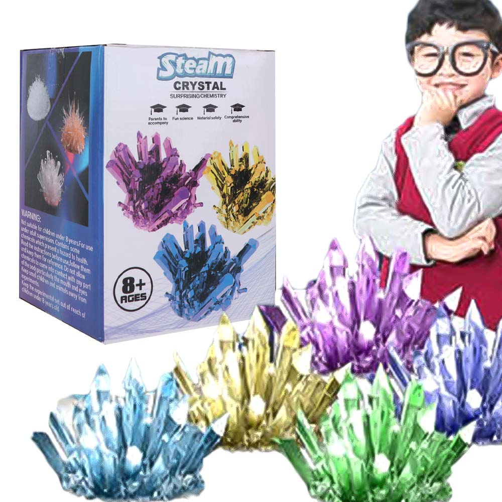 Kit scientifique de culture de - Science Toys Diy avis et prix