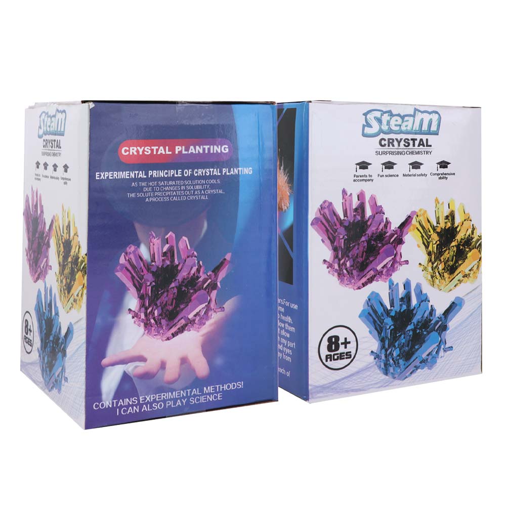 Kit scientifique de culture de - Science Toys Diy avis et prix